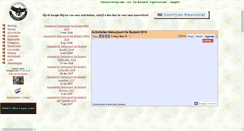 Desktop Screenshot of debuizerd.be